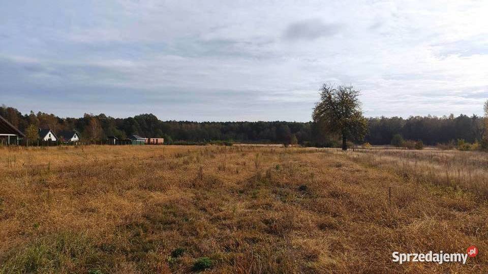 Działka w Leonowie Zalewem Sulejowskim