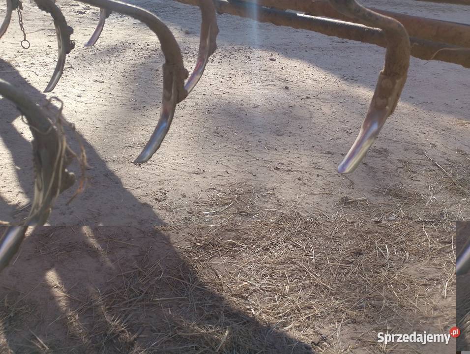 Agregat uprawowo siewny Agrodan 3m duński Wilcze