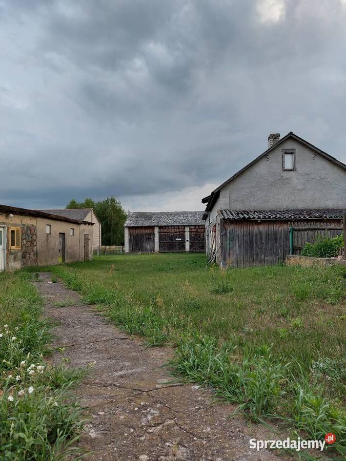 Działka posesja siedlisko 9000m2 Rusków