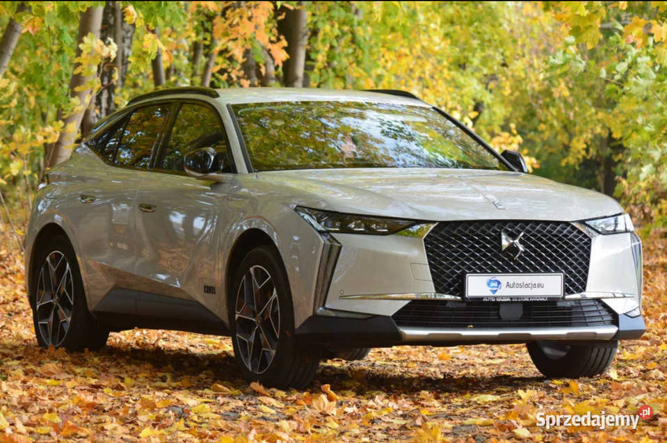 DS4 cross rivoli wynajem Długoterminowy z śląskie