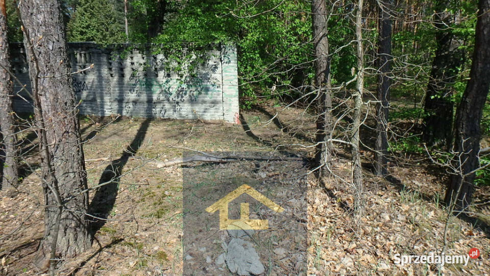 Teren do wynajęcia