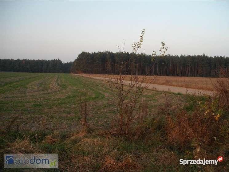 działkę odrolnioną pod zabudowę Omięciny