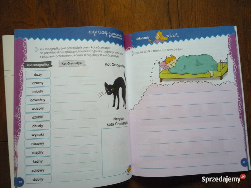 Gramatycy i Ortograficy na start klasa 3 Szczecin