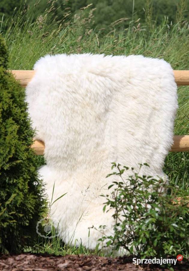 Naturalna skóra owcza biała SMLXLXXL Szaflary