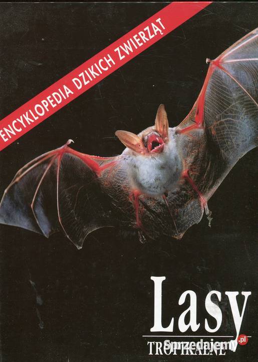 Lasy tropikalne Encyklopedia dzikich zwierząt