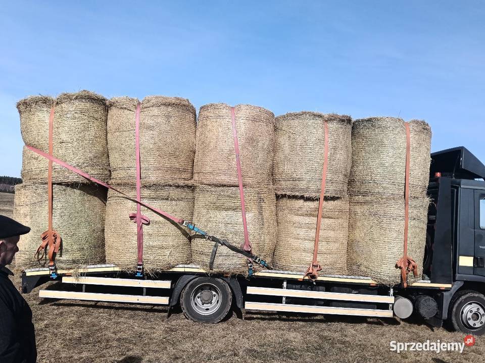 Siano Kołodziąż-Rybie