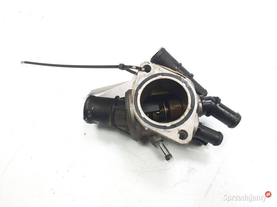 TERMOSTAT FIAT STILO Pozostałe Lipno