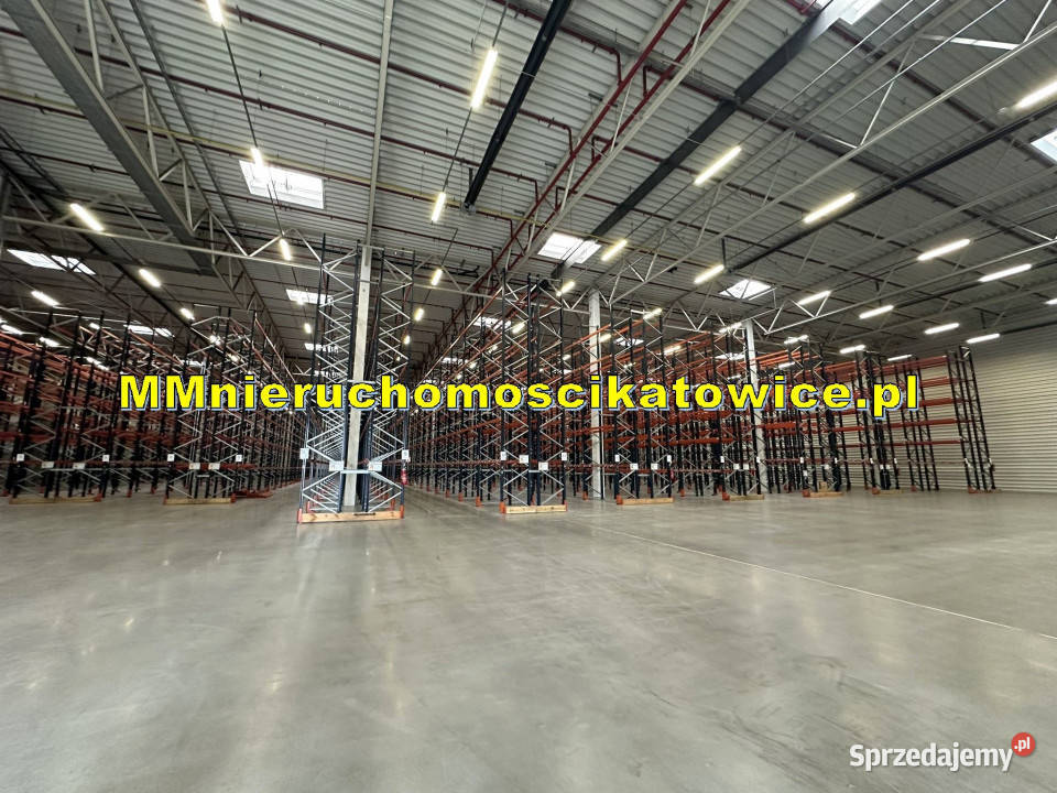 Halae do wynajęcia Katowice A4