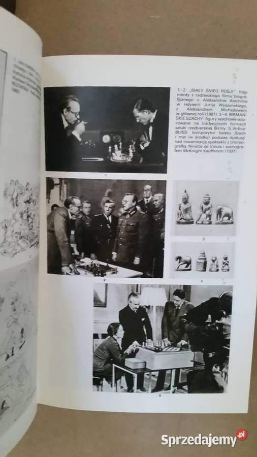 Szachy A do Z Władysław Litmanowicz Jerzy Książki naukowe i popularnonaukowe Książki i Podręczniki Puławy sprzedam
