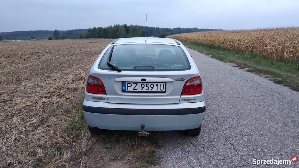 Renault Megane 1.9 dci 105KM PRIVILAGE IX.2001 Tarnowo