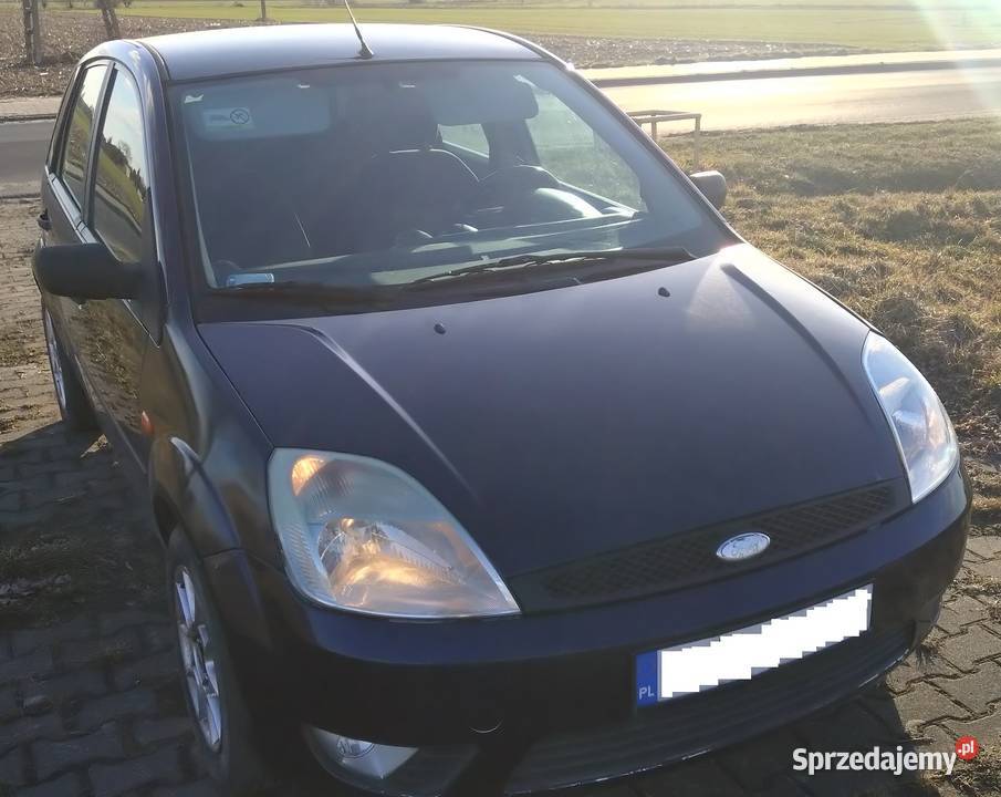 Ford Fiesta mk6 100KM