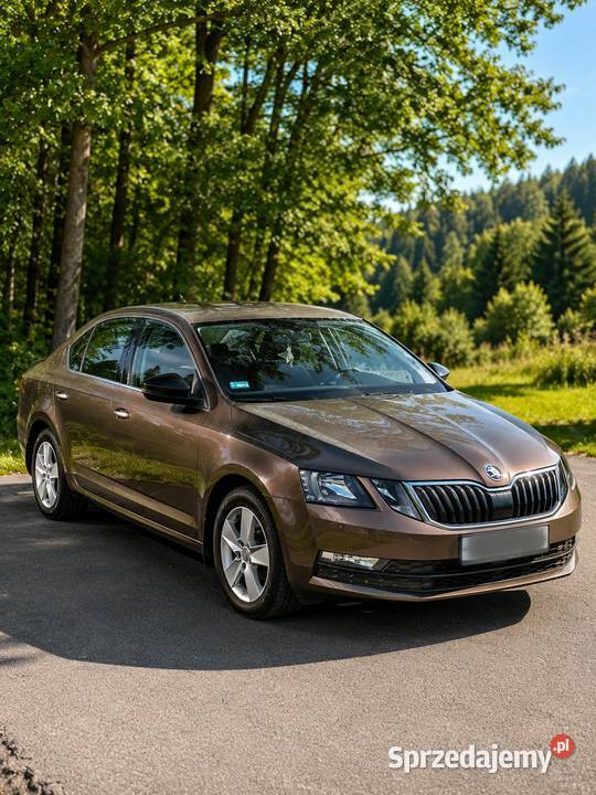 Skoda Octavia 16 TDI 115 2020 Climatronic Gotowa Przytyk