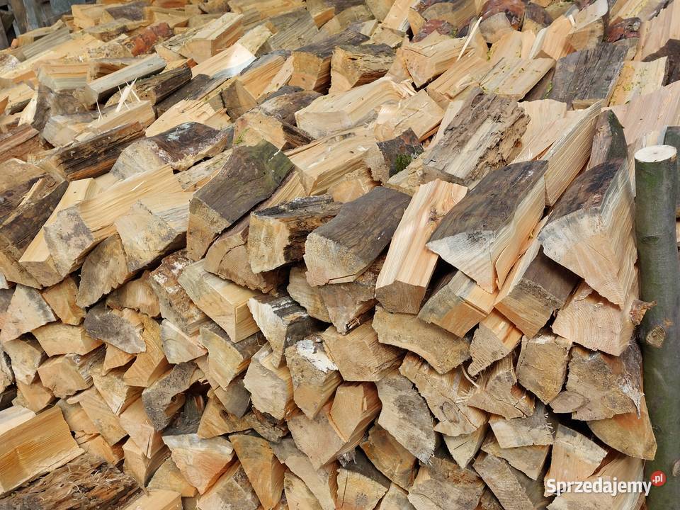 Sosna Opał drewno drzewo drewno kominkowe łódzkie Rosanów sprzedam