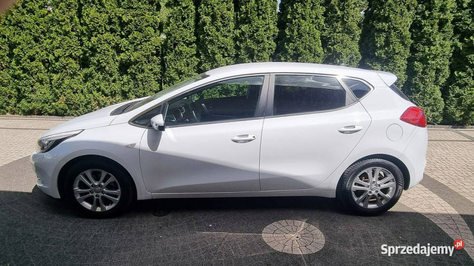 Kia Ceed Serwis Prosty Silnik Klima GWARANCJA Płońsk sprzedam