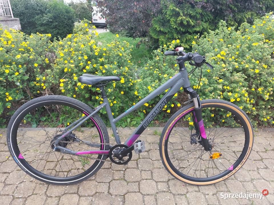 Bergamont Helix N8 ram M 46 Olsztyn