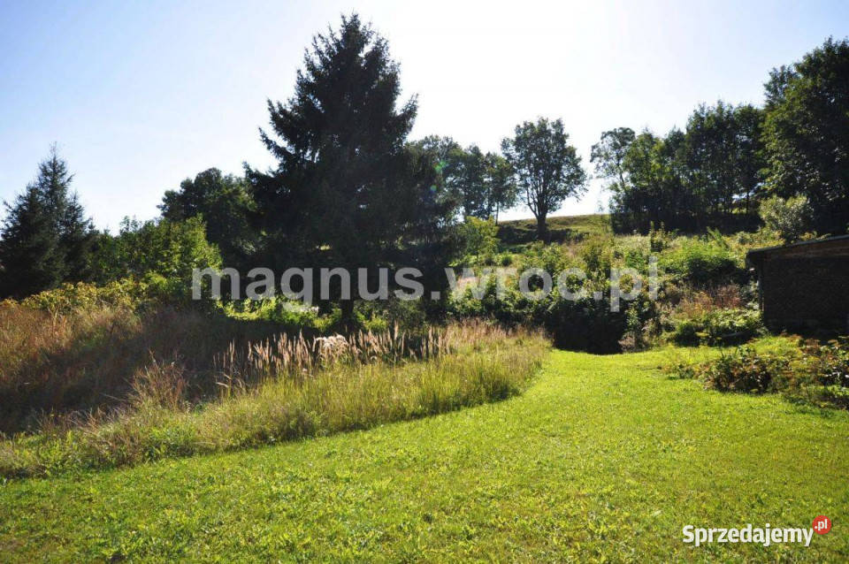 Urocza działka w Grzmiącej z wydanymi warunkami Grzmiąca