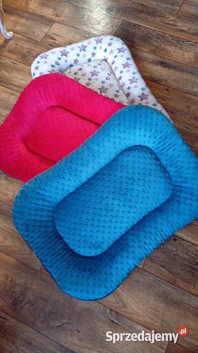 Czerwone legowisko Zwierzęta kujawsko-pomorskie Inowrocław