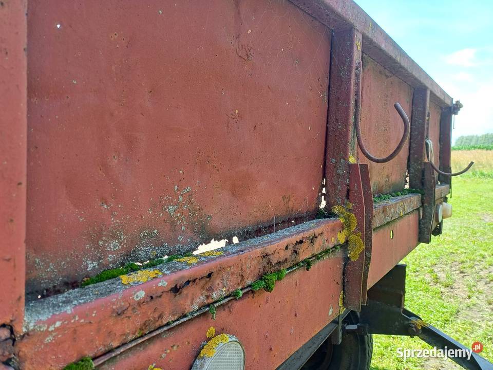 Przyczepa d47b Pełkinie sprzedam