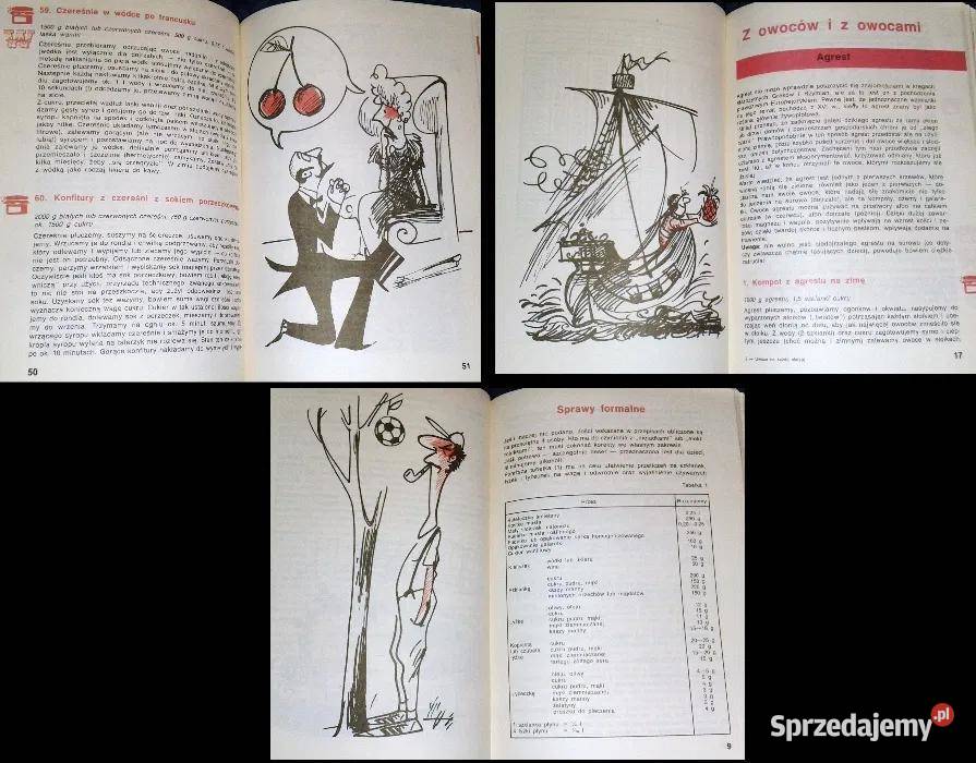 Owoce na każdą okazję Alina Fedak miękka lubelskie Chełm sprzedam