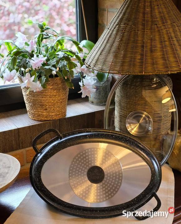 Gęsiarka szara i czarna zachodniopomorskie Szczecin