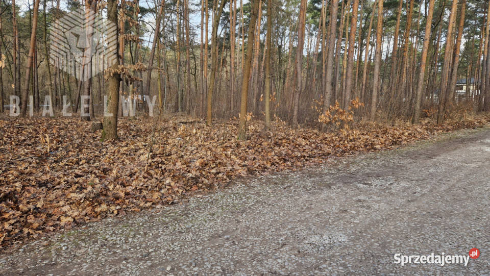 Działka na sprzedaż 2500m2 Łomianki 49m mazowieckie