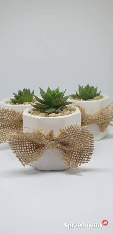 Podziękowania gości łódzkie Łódź