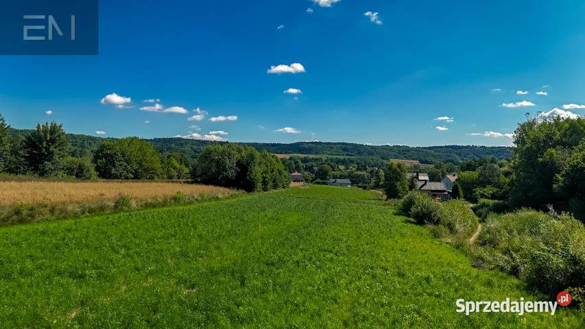 Grunt Harta 3200m2 113m Sprzedaż podkarpackie
