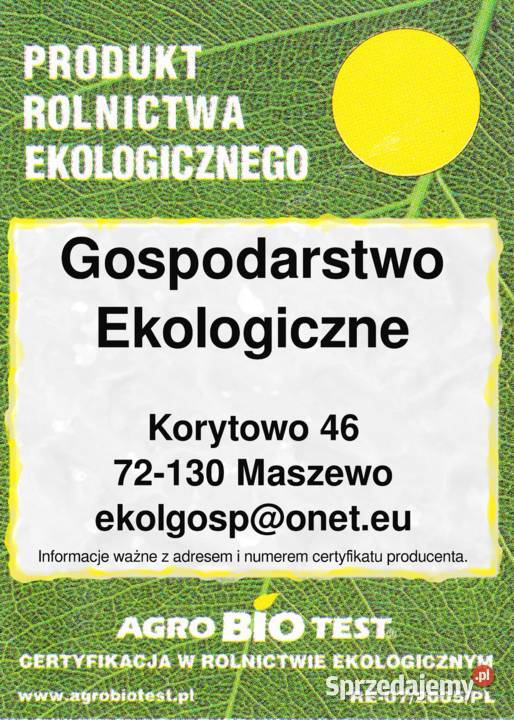 Herbata gryczana Soba Cha 1 Tatarka Korytowo zachodniopomorskie