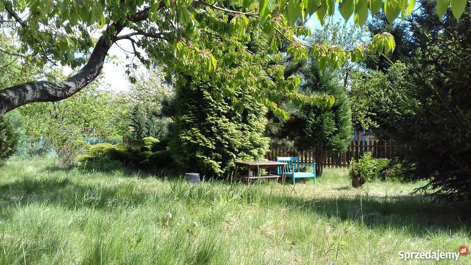 Sprzedam ogródek działkowy 18zł/m2 Płock