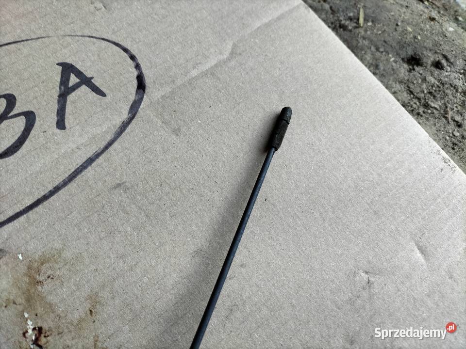 FORD FOCUS C MK1 ANTENA RADIA Motoryzacja Kamień-Kolonia sprzedam