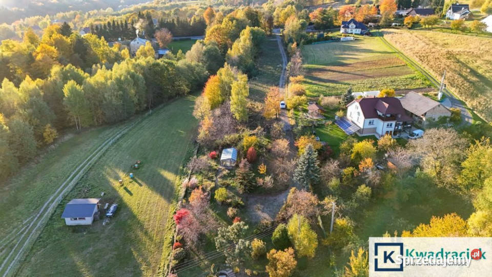 Ogłoszenie działka 1200m2 Korczyna