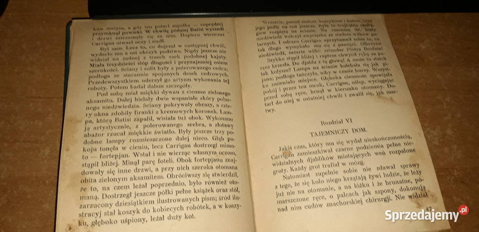 JOCURWOODPŁONĄCY LASWa1930pierwodruk No3224 cudo Iwno