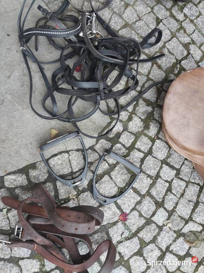 Siodło na konia skurzane stare siodła i Mszana Górna