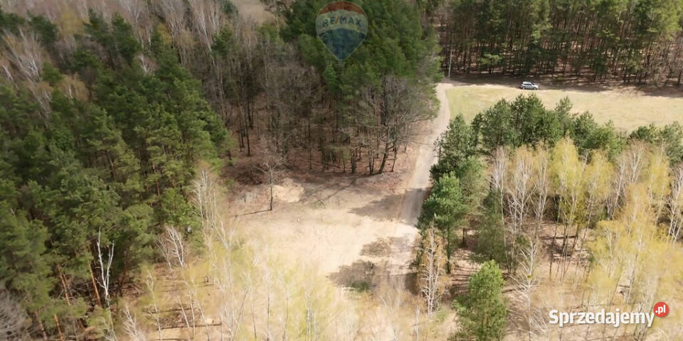 Działki budowlane zbuduj dom w lesie