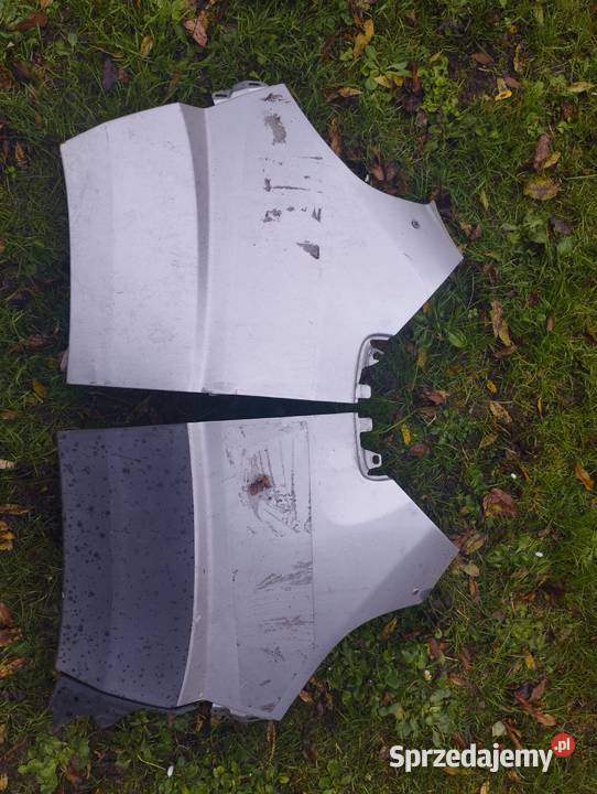 Fiat Ducato błotnik lewy i prawy Rok produkcji 2009 Proszowice