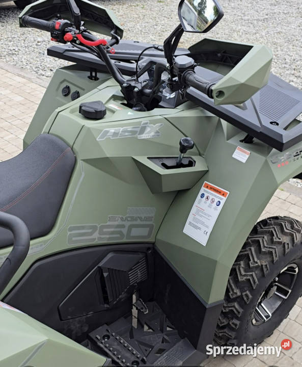 ASIX Inny Asix Cyber 250 rr z Homologacją T3B Stare Miasto