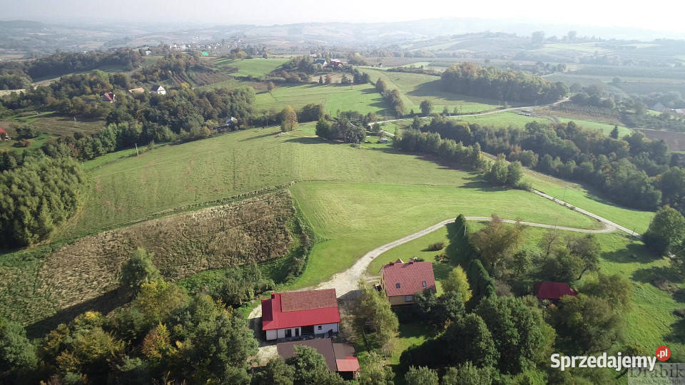 sprzedaży gruntu Zegartowice 19800m2