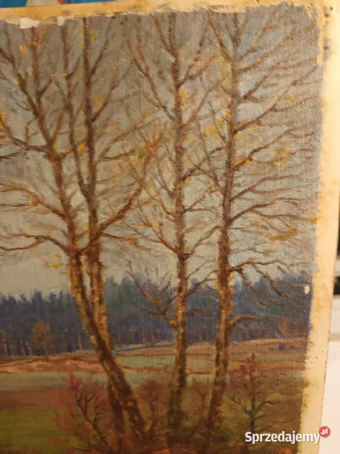 Pejzaż pogórze Sądeckiego Malarstwo Antyki, Sztuka, Kolekcje sprzedam