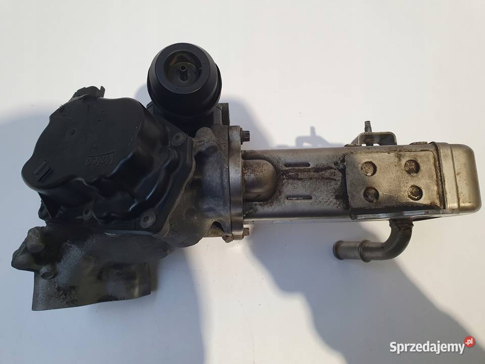 CHŁODNICA SPALIN Ford Mondeo MK4 20 TDCI lubelskie Chełm