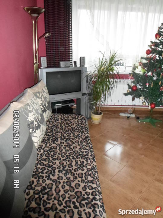 Mieszkanie wielkopolskie