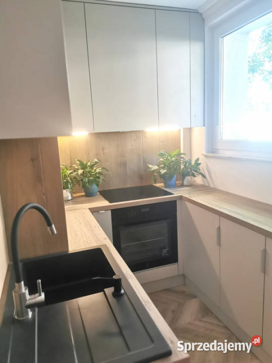 Bezpośrednio 2 pokoje 43 mkw parter Rzeszów