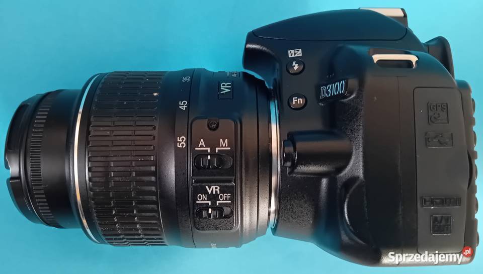 Nikon D3100