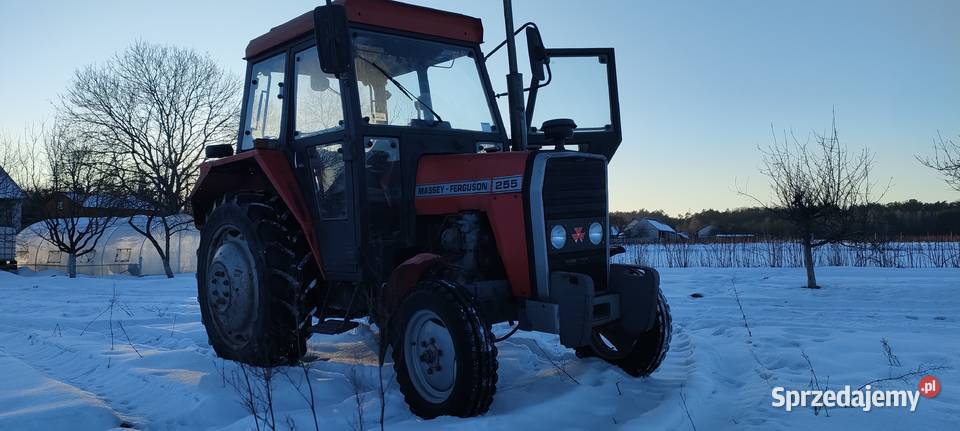 Ferguson MF 255 235 kabina export wspomaganie Zwoleń