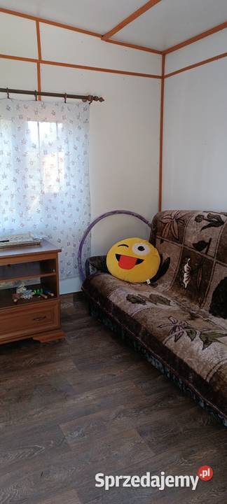 Działka rekreacyjna ROD Sprzedaż łódzkie sprzedam