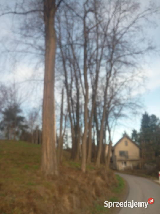 Opróżnianie mieszkań Wywóz śmieci złomu itp Jasło sprzedam