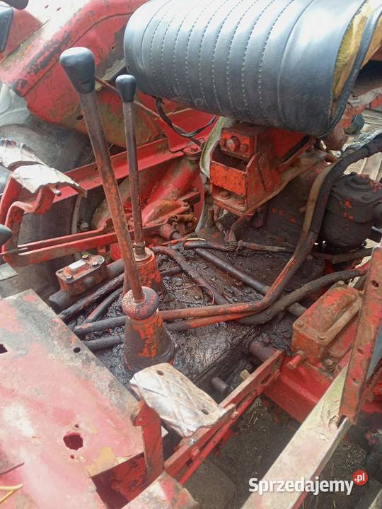 Sprzedam t25 Gęś sprzedam