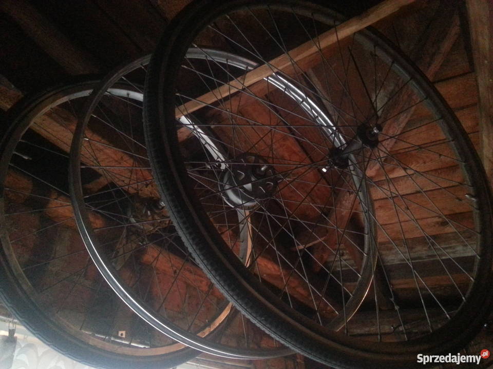 ROWER z SILNIKIEM SACHS 301A wszystkie części Części i akcesoria Łódź