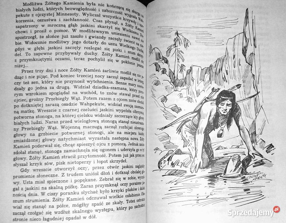 Złoto Gór Czarnych Tom 123 Krystyna i Alfred Chełm sprzedam