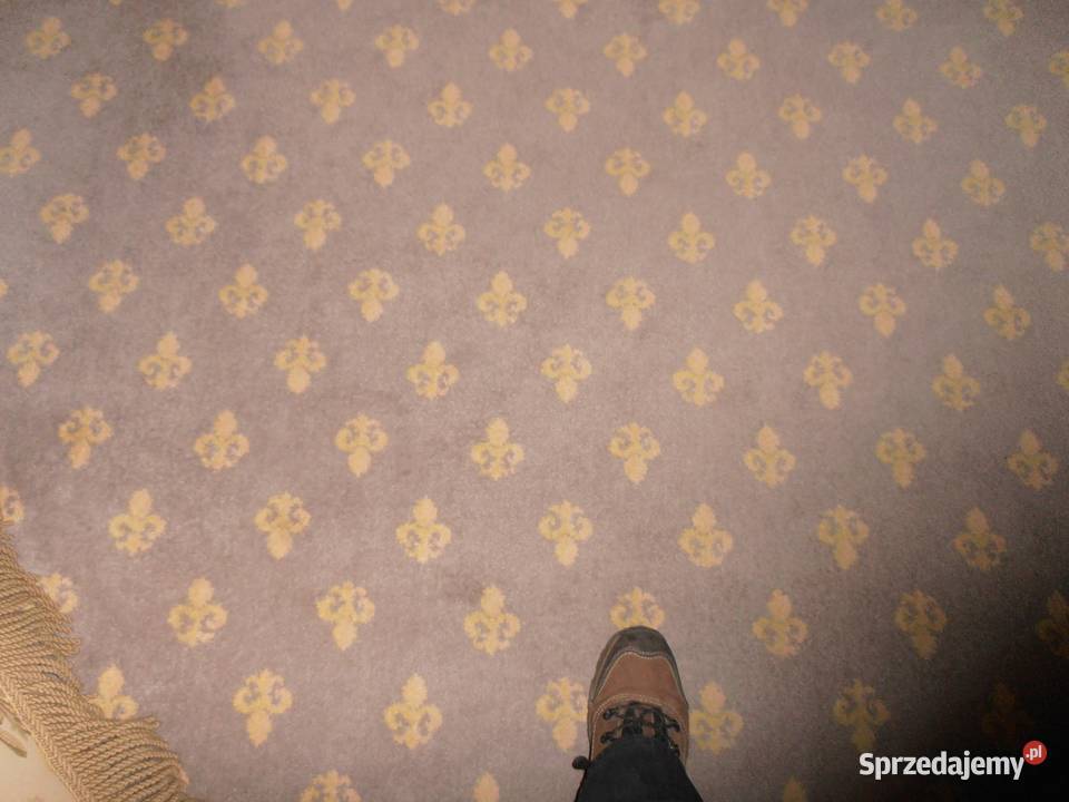Wyprzedaż Wykładzina z hotelu 5gwiazdkowego Słupno