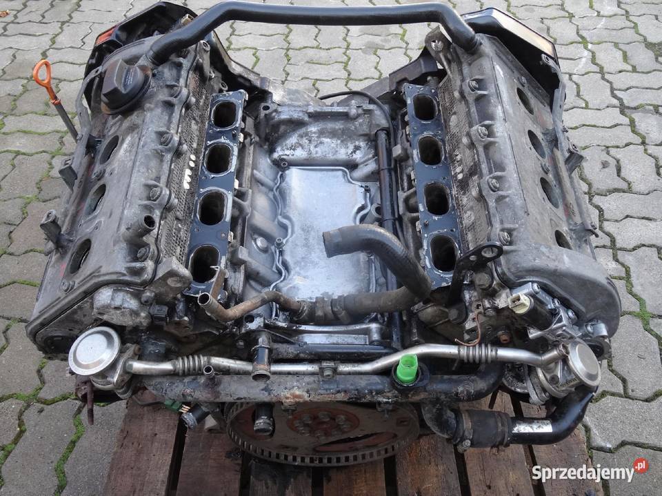 AUDI A8 D2 SILNIK 37 AQG BLOK GLOWICE 9902 260 osobowe Części samochodowe Przemęt